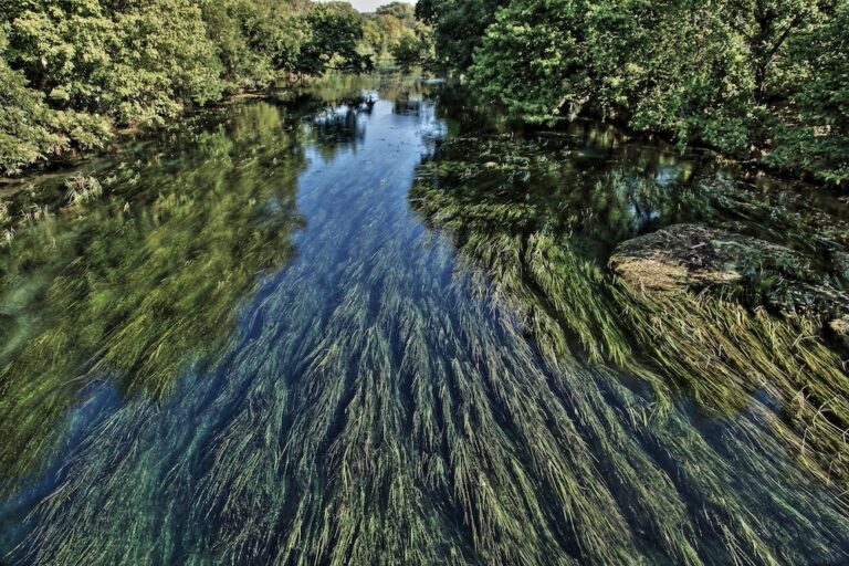 san marcos river activities