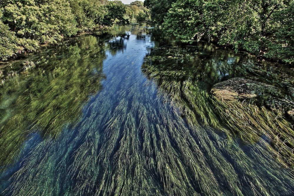 san marcos river activities